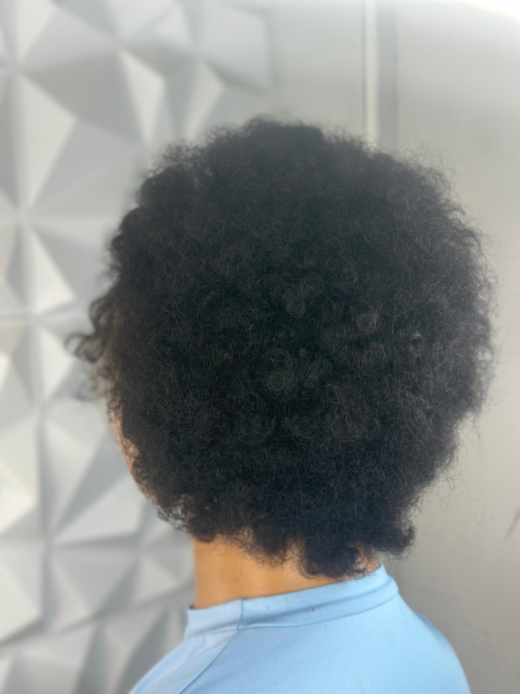 The AfroBraid Beauty – Short Half Braided Wig (250g)