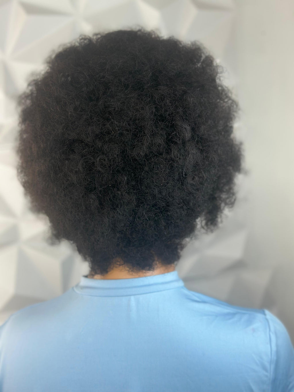 The AfroBraid Beauty – Short Half Braided Wig (250g)